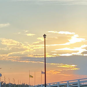 Meet your Posher, Judith